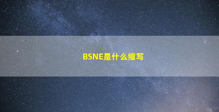 BSNE是什么缩写